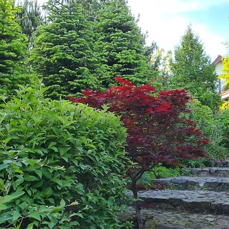Sowi Dworek Tatil Evi
