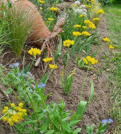 Sowi Dworek 別荘 Sychowo