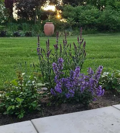 Sowi Dworek Дом отдыха *