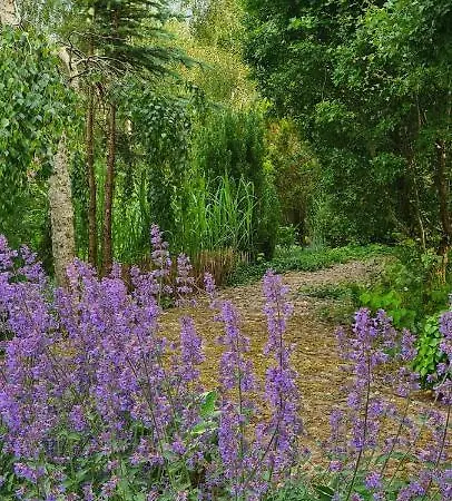 Sowi Dworek Дом отдыха Sychowo