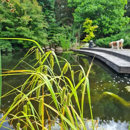 Sowi Dworek Дом отдыха *