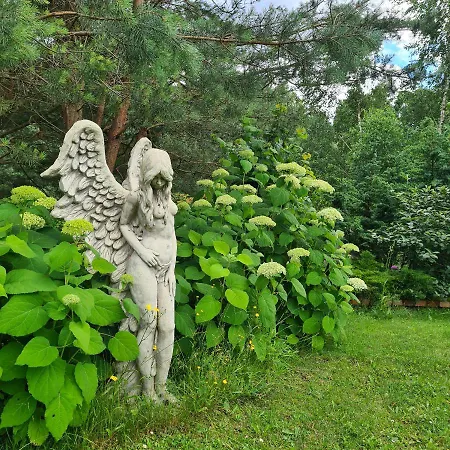 Sowi Dworek Дом отдыха Sychowo