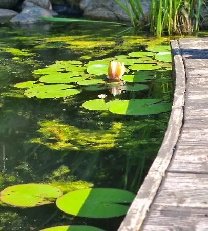 別荘 Sowi Dworek *