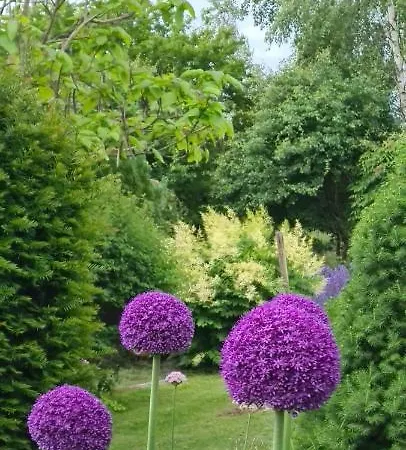 別荘 Sowi Dworek Sychowo