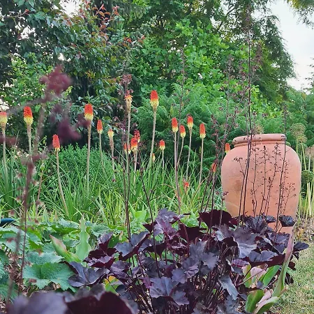 別荘 Sowi Dworek Sychowo