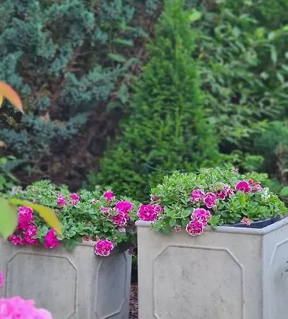 Дом отдыха Sowi Dworek *