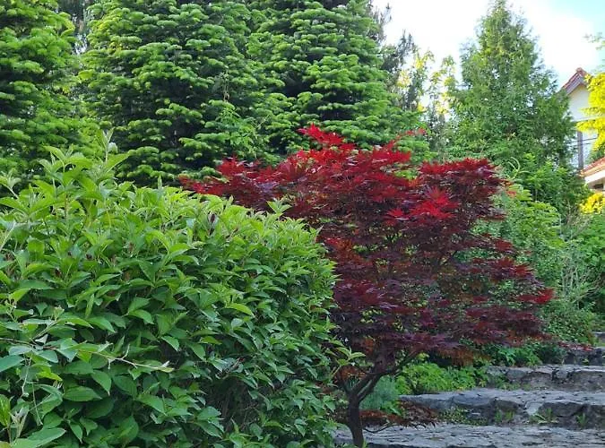 Sowi Dworek Semesterbostad