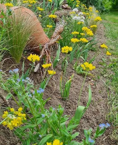 Sowi Dworek Semesterbostad Sychowo