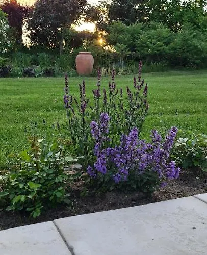 Sowi Dworek Semesterbostad *