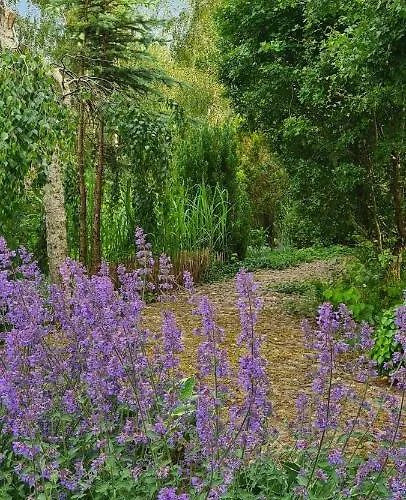 Sowi Dworek Semesterbostad Sychowo