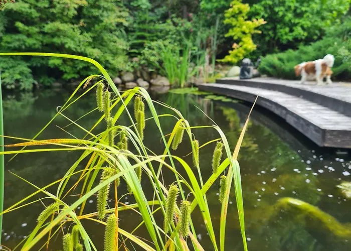 Sowi Dworek Semesterbostad *