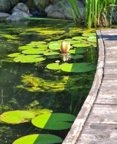 Semesterbostad Sowi Dworek *