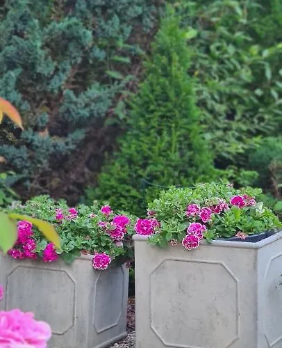 Semesterbostad Sowi Dworek *