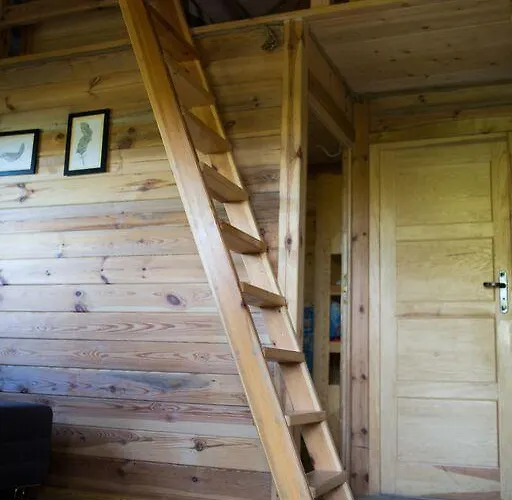 Semesterbostad Sowi Dworek Sychowo